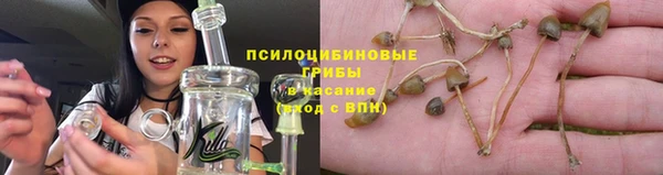 дмт Абаза