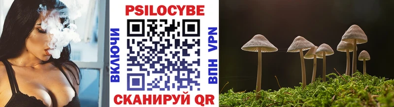 закладки  МЕГА   Псилоцибиновые грибы Psilocybine cubensis  Черепаново 